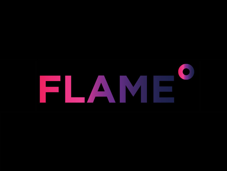 FLAME-2025 FLAME