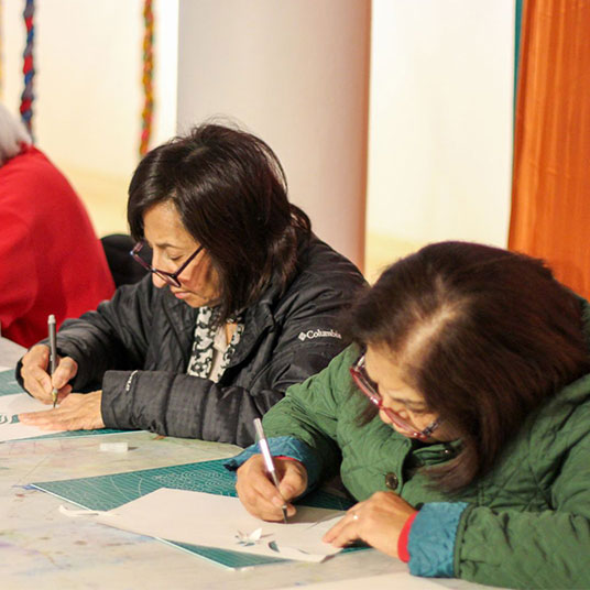 Classes Adult Students