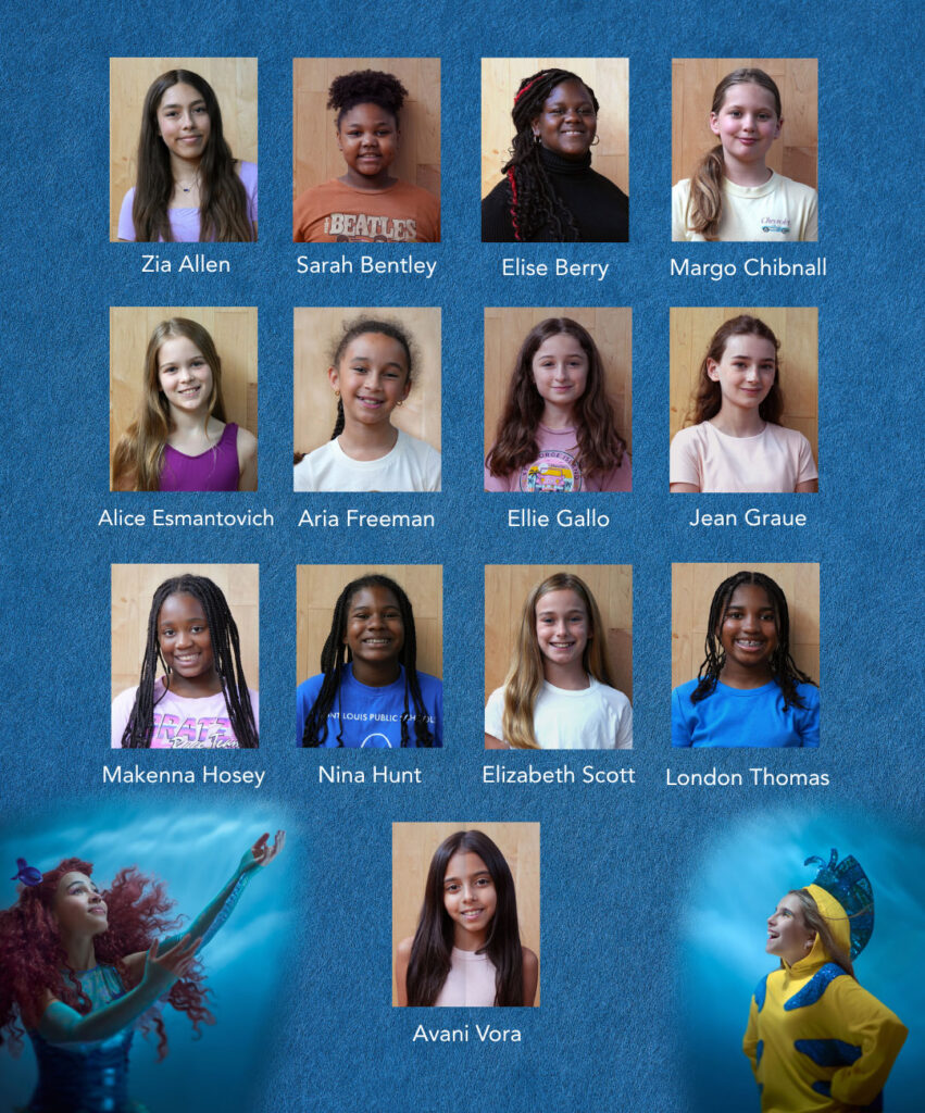 Little Mermaid Guppy & Gull Ensemble